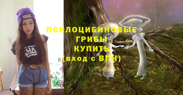 стафф Алексеевка
