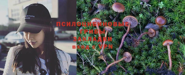спиды Нягань