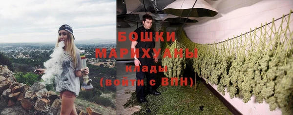 амф Няндома