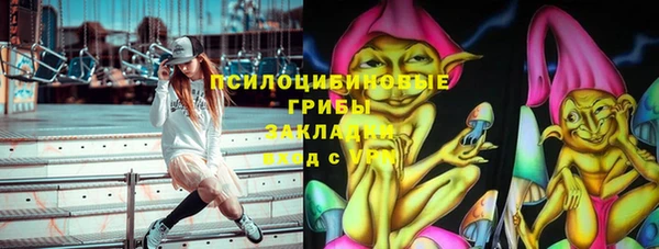 стафф Алексеевка