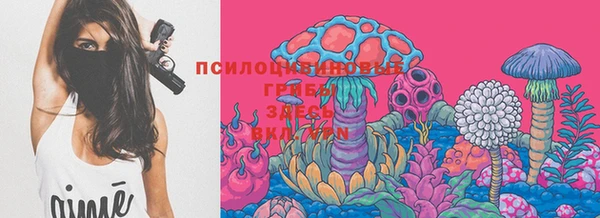 стафф Алексеевка
